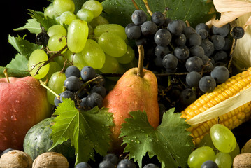 composizione autunnale