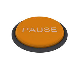 Pause Button