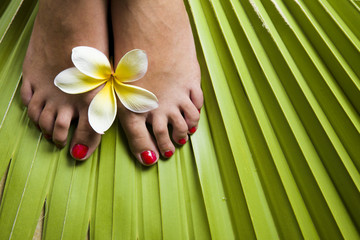 Spa Tropical