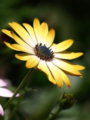 słoneczny konec lata