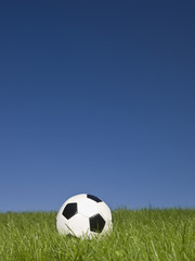 Fototapeta premium Black and white football