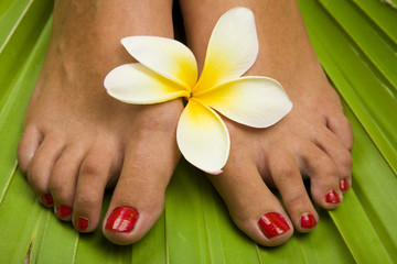Spa Tropical