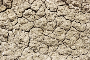 cracked clay texture, background