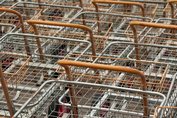 empty metal shopping carts ready to be filled