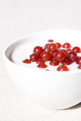 yogurt and red currant