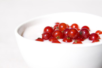 yogurt and red currant