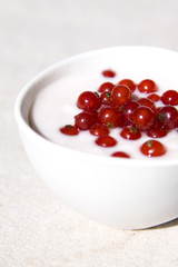 yogurt and red currant