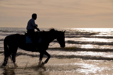 Cavalier à cheval dans les vague du bord de mer