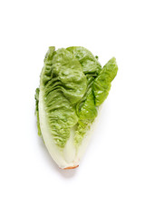 Romaine salad