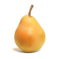 yellow pear-vector illustration
