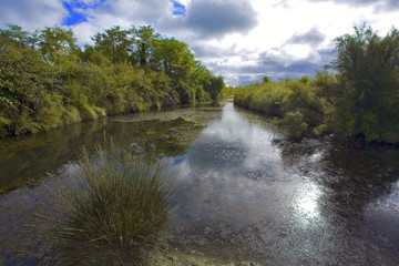 france; charente maritime; oléron :  marais des bris