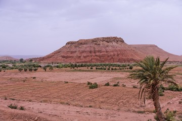 Vallée de Draa à coté de Ourzazate