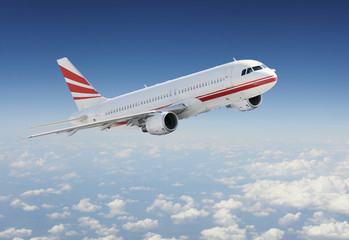 Airplane in the sky