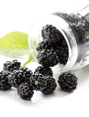 dewberries (blackberries) and green leaves
