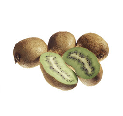 kiwi on white background