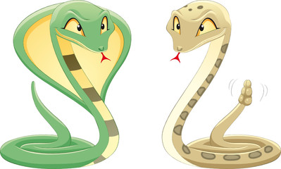 Fototapeta premium Two Snakes: Cobra and Pit Viper.