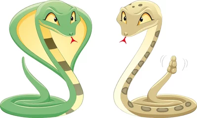Foto op Plexiglas Two Snakes: Cobra and Pit Viper. © ddraw