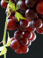 bunch of fresh grapes.