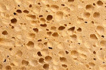 sponge texture