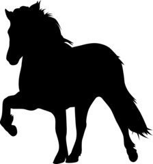 Toelt 02 - IcelandicHorse © BarefootBornDesign