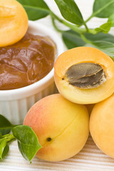 apricot jam