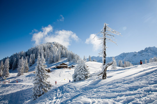 winter landscape #3