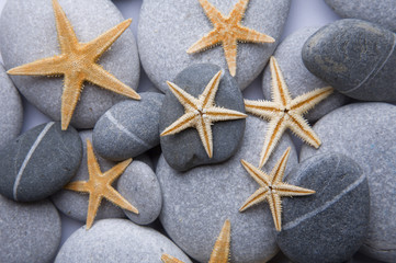 Estrellas de Mar en la Playa