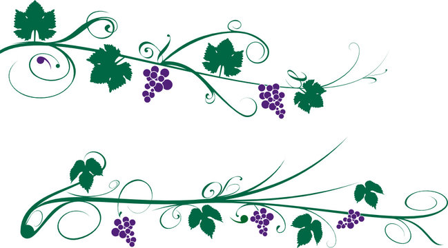 treille de vigne