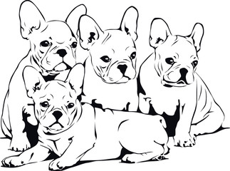 Gratis Malvorlage Franzosische Bulldogge Coloring And Malvorlagan