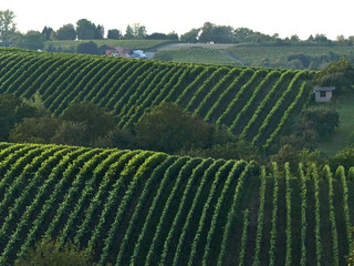 Weinberg