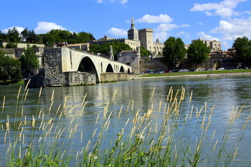 Bords du Rhône