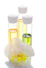 Orchid and organic oil