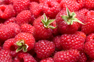 Red Raspberries