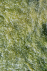 Réchauffement climatique - Algues vertes