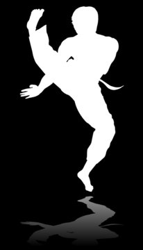 kungfu white silhouettes