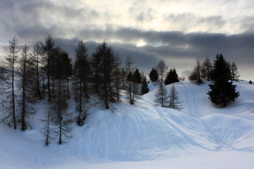Paesaggio innevato