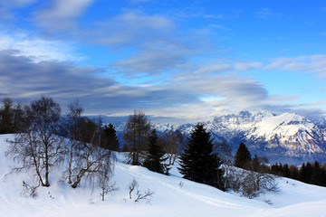 Fototapeta na wymiar Snowy krajobraz