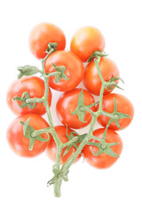 Tomatoes on wihte background