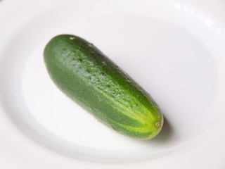 Cucumber