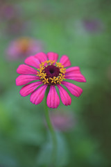 Obraz premium sueños