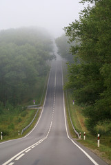 Dangerous fog over the road