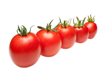 tomatoes in row