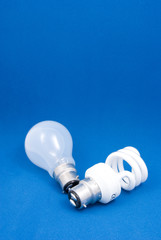 traditional and energy saving light bulbs