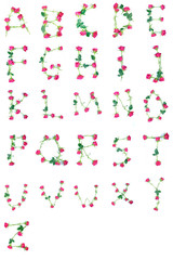 alphabet made from roses