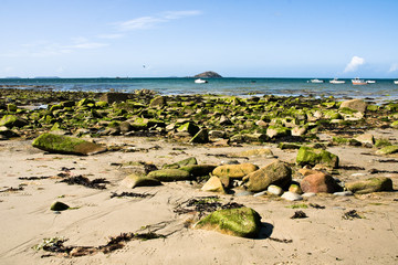 Plage bretonne (Les côtes d'Armor)