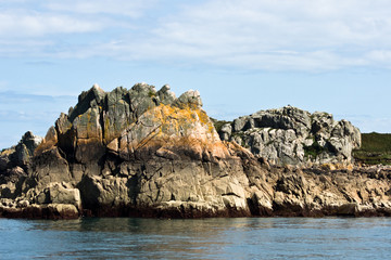 Fototapeta na wymiar Côte bretonne (Ile de Bréhat)