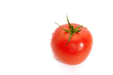 tomato