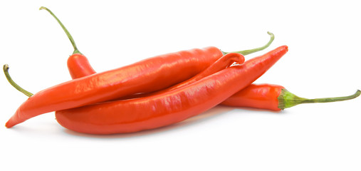 Brightly-red cayenne on a white background