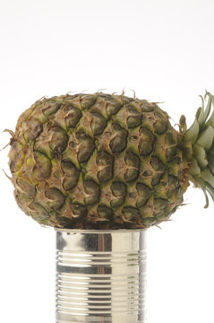 Frutta in scatola