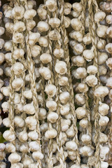 Mass of garlic cloves on market stall
